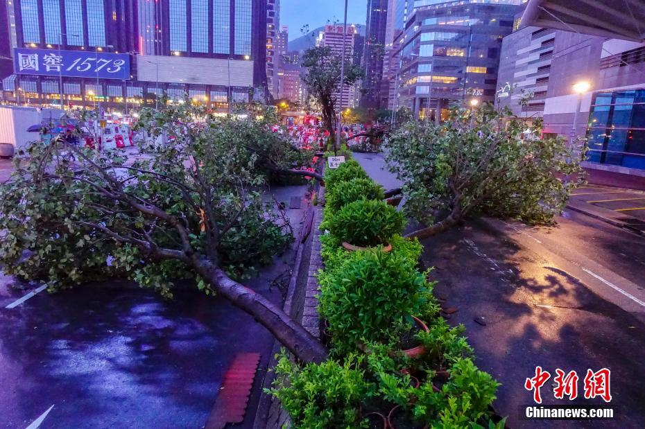 香港台风实时资讯，共筑安全防线，守护美丽家园