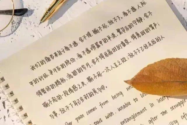 才情女性黎阳最新力作：探寻文字世界的独特视角